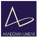 Художественная академия  